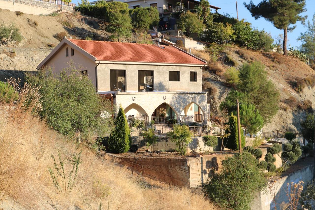 Georgiou Villa In Action Pelendri Ngoại thất bức ảnh
